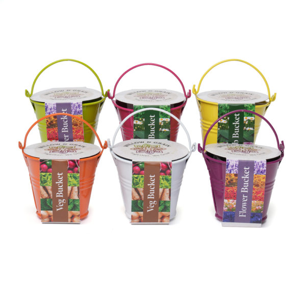 Myriad » Blog Archive » COLOURED MINI BUCKET GROW KIT